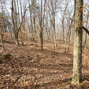 Photo #39 of Off Howle Drive, Burlington, NC 0.9 acres