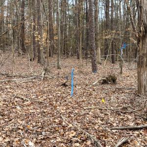 Photo #41 of Off Howle Drive, Burlington, NC 0.9 acres