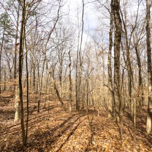 Photo #43 of Off Howle Drive, Burlington, NC 0.9 acres