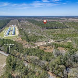 Photo #2 of SOLD property in Off Ivanhoe Road, Ivanhoe, NC 137.2 acres
