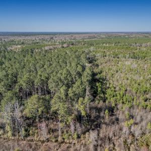 Photo #11 of SOLD property in Off Ivanhoe Road, Ivanhoe, NC 137.2 acres