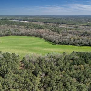 Photo #12 of SOLD property in Off Ivanhoe Road, Ivanhoe, NC 137.2 acres