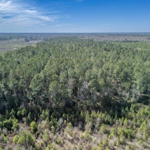 Photo #14 of SOLD property in Off Ivanhoe Road, Ivanhoe, NC 137.2 acres