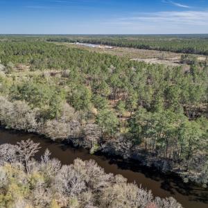 Photo #15 of SOLD property in Off Ivanhoe Road, Ivanhoe, NC 137.2 acres