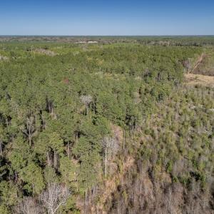 Photo #16 of SOLD property in Off Ivanhoe Road, Ivanhoe, NC 137.2 acres