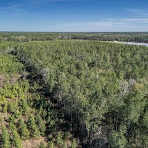 Photo #19 of SOLD property in Off Ivanhoe Road, Ivanhoe, NC 137.2 acres