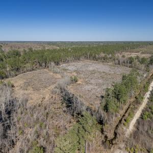 Photo #20 of SOLD property in Off Ivanhoe Road, Ivanhoe, NC 137.2 acres
