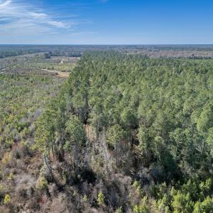 Photo #3 of SOLD property in Off Ivanhoe Road, Ivanhoe, NC 137.2 acres