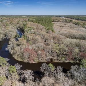 Photo #21 of SOLD property in Off Ivanhoe Road, Ivanhoe, NC 137.2 acres