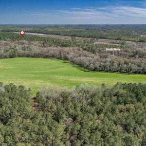 Photo #4 of SOLD property in Off Ivanhoe Road, Ivanhoe, NC 137.2 acres