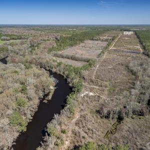 Photo #5 of SOLD property in Off Ivanhoe Road, Ivanhoe, NC 137.2 acres