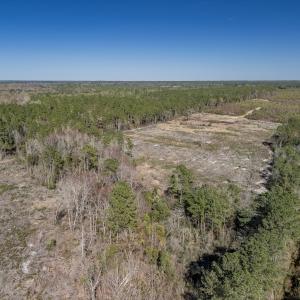 Photo #7 of SOLD property in Off Ivanhoe Road, Ivanhoe, NC 137.2 acres