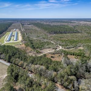 Photo #8 of SOLD property in Off Ivanhoe Road, Ivanhoe, NC 137.2 acres
