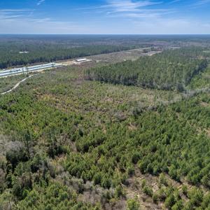 Photo #22 of SOLD property in Off Ivanhoe Road, Ivanhoe, NC 137.2 acres