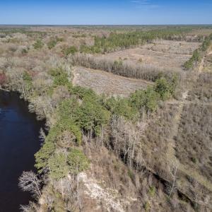 Photo #23 of SOLD property in Off Ivanhoe Road, Ivanhoe, NC 137.2 acres