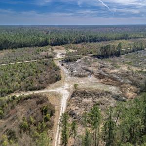 Photo #24 of SOLD property in Off Ivanhoe Road, Ivanhoe, NC 137.2 acres