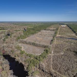 Photo #25 of SOLD property in Off Ivanhoe Road, Ivanhoe, NC 137.2 acres