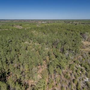 Photo #26 of SOLD property in Off Ivanhoe Road, Ivanhoe, NC 137.2 acres
