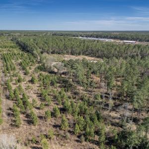 Photo #28 of SOLD property in Off Ivanhoe Road, Ivanhoe, NC 137.2 acres