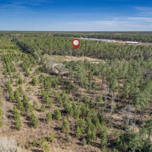 Photo #29 of SOLD property in Off Ivanhoe Road, Ivanhoe, NC 137.2 acres