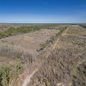 Photo #30 of SOLD property in Off Ivanhoe Road, Ivanhoe, NC 137.2 acres