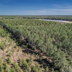 Photo #33 of SOLD property in Off Ivanhoe Road, Ivanhoe, NC 137.2 acres