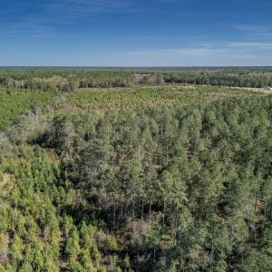 Photo #37 of SOLD property in Off Ivanhoe Road, Ivanhoe, NC 137.2 acres