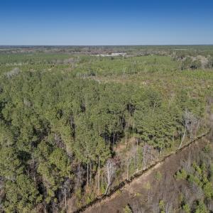 Photo #38 of SOLD property in Off Ivanhoe Road, Ivanhoe, NC 137.2 acres