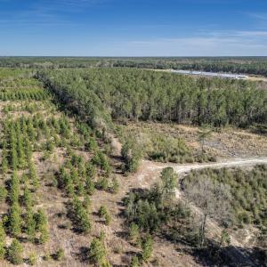 Photo #39 of SOLD property in Off Ivanhoe Road, Ivanhoe, NC 137.2 acres