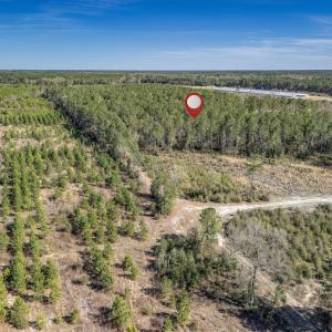 Photo #40 of SOLD property in Off Ivanhoe Road, Ivanhoe, NC 137.2 acres