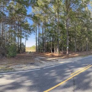 Photo #41 of SOLD property in Off Ivanhoe Road, Ivanhoe, NC 137.2 acres