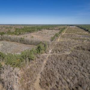 Photo #42 of SOLD property in Off Ivanhoe Road, Ivanhoe, NC 137.2 acres