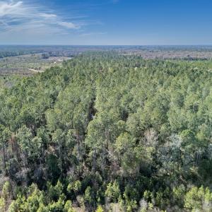 Photo #43 of SOLD property in Off Ivanhoe Road, Ivanhoe, NC 137.2 acres