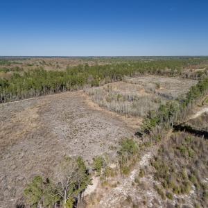 Photo #44 of SOLD property in Off Ivanhoe Road, Ivanhoe, NC 137.2 acres