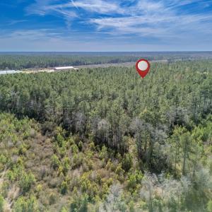 Photo #45 of SOLD property in Off Ivanhoe Road, Ivanhoe, NC 137.2 acres