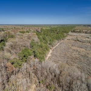 Photo #46 of SOLD property in Off Ivanhoe Road, Ivanhoe, NC 137.2 acres