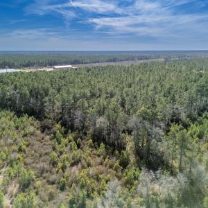 Photo #47 of SOLD property in Off Ivanhoe Road, Ivanhoe, NC 137.2 acres