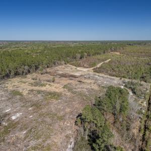 Photo #48 of SOLD property in Off Ivanhoe Road, Ivanhoe, NC 137.2 acres