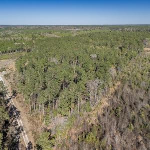 Photo #49 of SOLD property in Off Ivanhoe Road, Ivanhoe, NC 137.2 acres