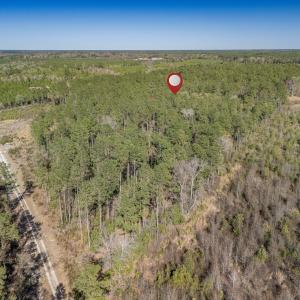 Photo #50 of SOLD property in Off Ivanhoe Road, Ivanhoe, NC 137.2 acres