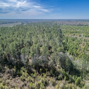 Photo #51 of SOLD property in Off Ivanhoe Road, Ivanhoe, NC 137.2 acres