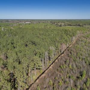 Photo #52 of SOLD property in Off Ivanhoe Road, Ivanhoe, NC 137.2 acres
