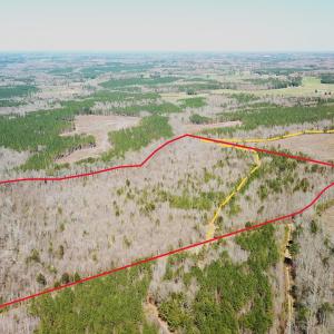 Photo #2 of SOLD property in Off Goodes Ferry Road, South Hill, VA 53.5 acres