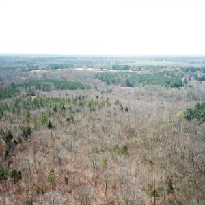 Photo #3 of SOLD property in Off Goodes Ferry Road, South Hill, VA 53.5 acres