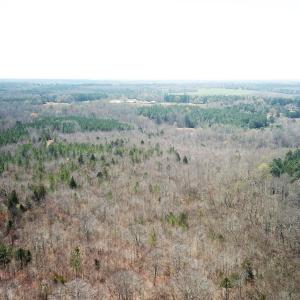 Photo #3 of Off Goodes Ferry Road, South Hill, VA 53.5 acres