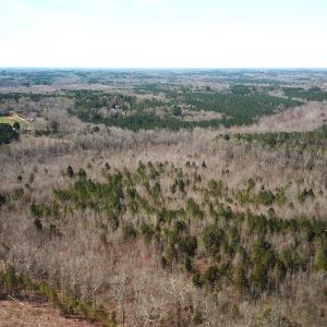 Photo #4 of SOLD property in Off Goodes Ferry Road, South Hill, VA 53.5 acres
