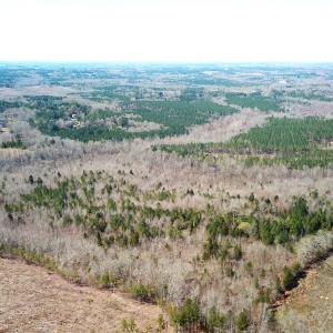 Photo #5 of SOLD property in Off Goodes Ferry Road, South Hill, VA 53.5 acres