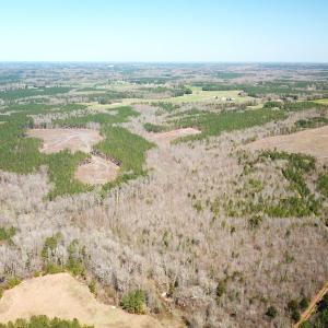 Photo #6 of SOLD property in Off Goodes Ferry Road, South Hill, VA 53.5 acres