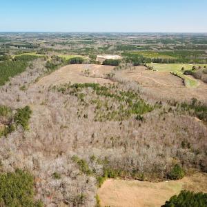 Photo #7 of SOLD property in Off Goodes Ferry Road, South Hill, VA 53.5 acres