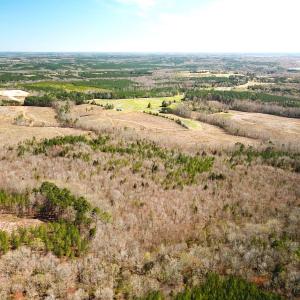 Photo #8 of SOLD property in Off Goodes Ferry Road, South Hill, VA 53.5 acres
